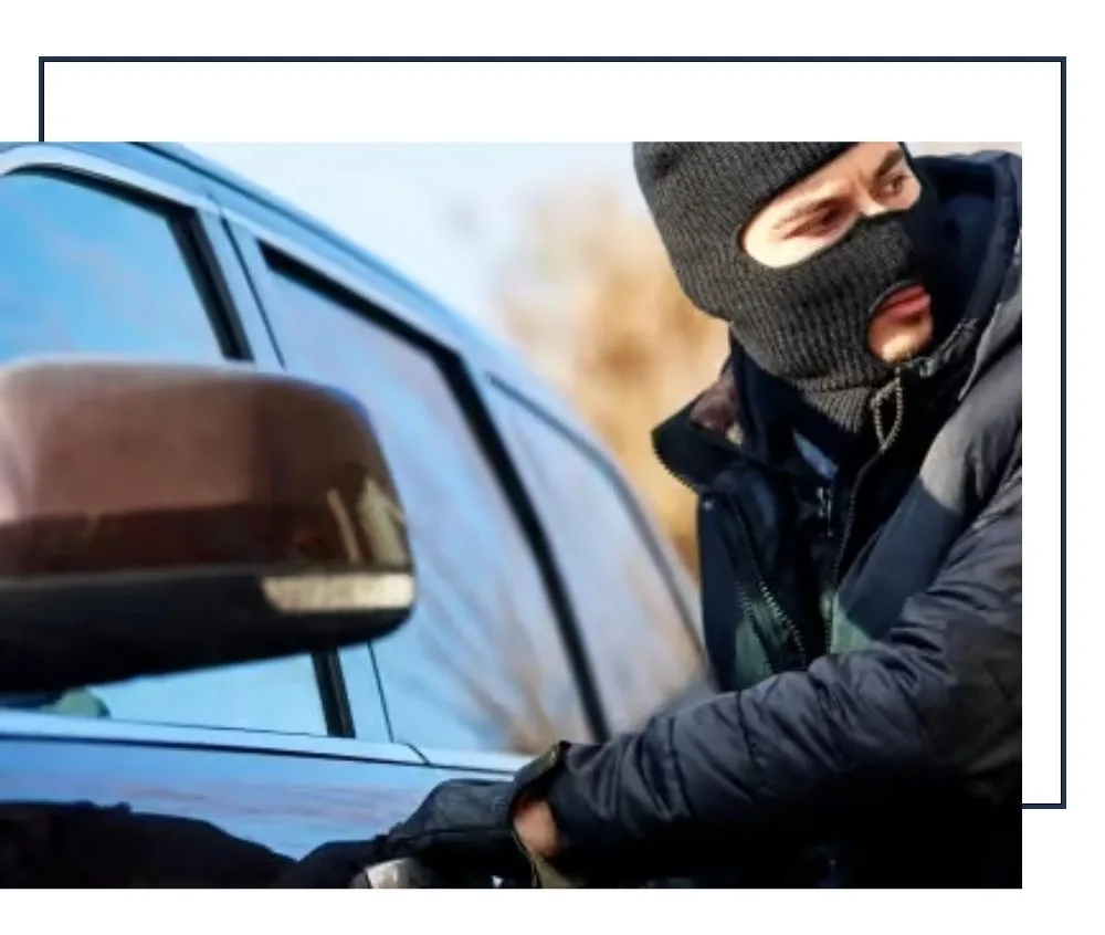 Defensa penal en casos de robo, hurto, daños y usurpación de bienes